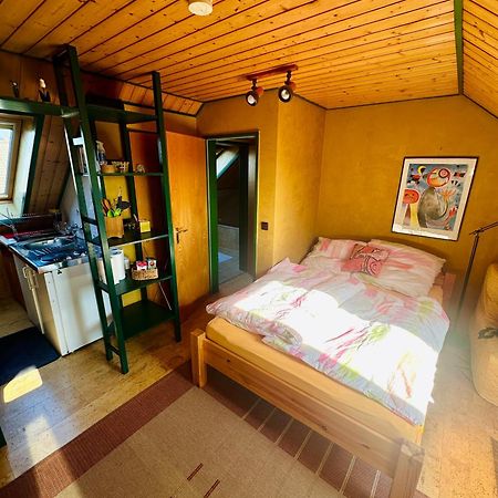 Ohne Sorgen Apartment Goslar Bagian luar foto